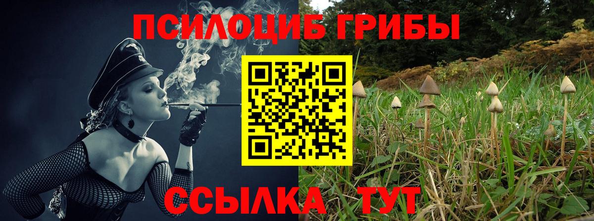 Галлюциногенные грибы прущие грибы Шарыпово